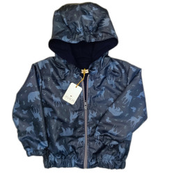 Rompevientos Hollow Forest